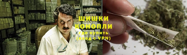 молекула духа Елизово