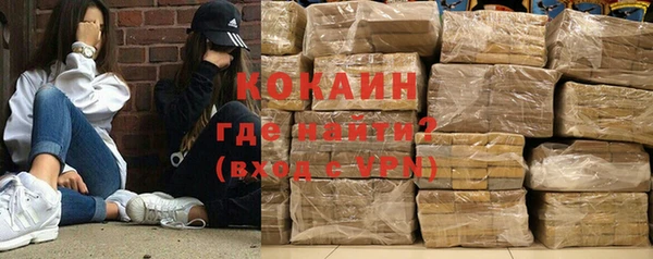 молекула духа Елизово