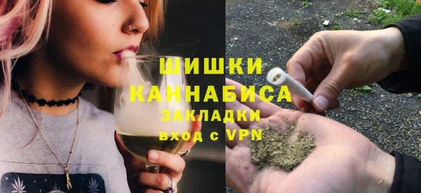 2c-b Ельня