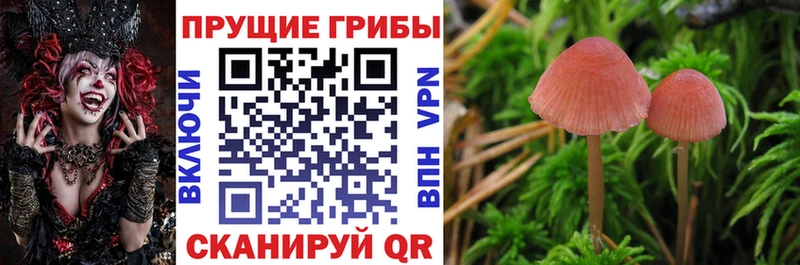 Купить закладки  Североморск  Псилоцибиновые грибы мухоморы 